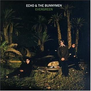 Evergreen (Echo & the Bunnymen album) httpsuploadwikimediaorgwikipediaenbbbEve