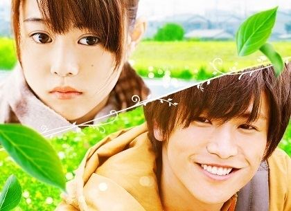 Evergreen Love EVERGREEN LOVE SHOCHIKU FILMS