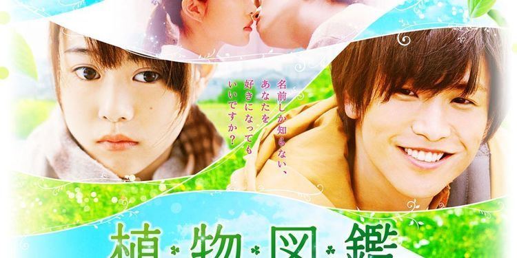 Evergreen Love Evergreen Love Eng Sub 2016 Japan Movie Watch Evergreen Love