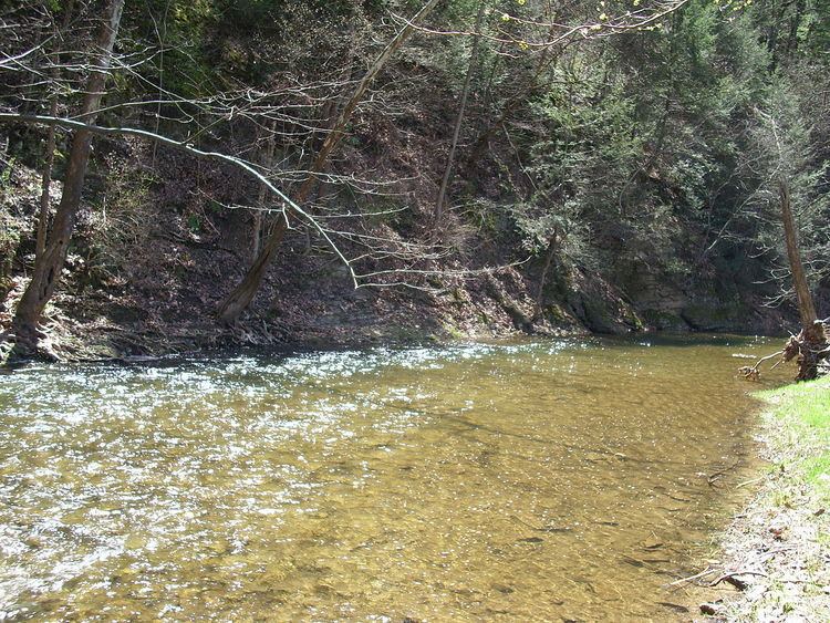 Evitts Creek (North Branch Potomac River)