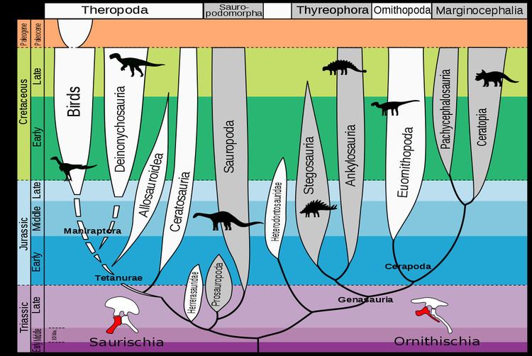Evolution of dinosaurs