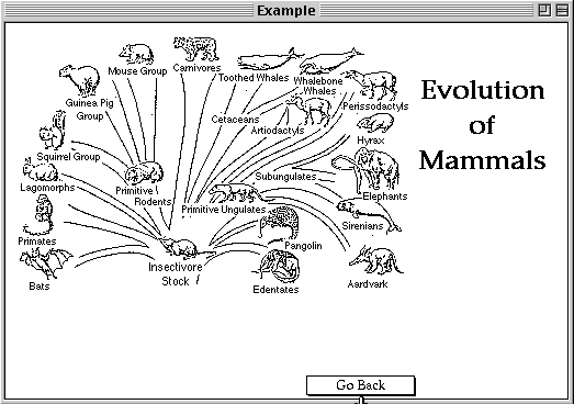 Evolution of mammals Evolution of Mammals