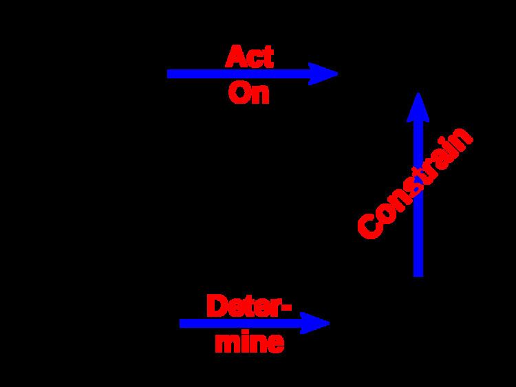 Evolutionary physiology