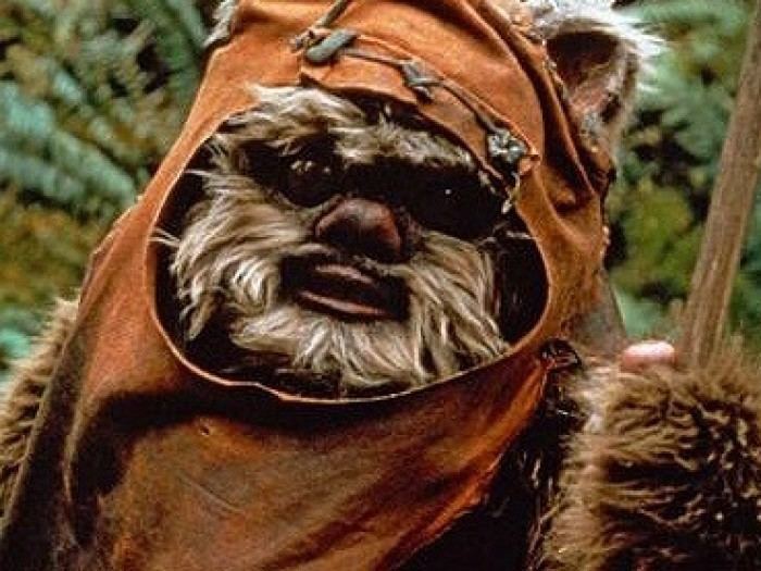 Ewok You can now build a fullsized Ewok pal at BuildABear