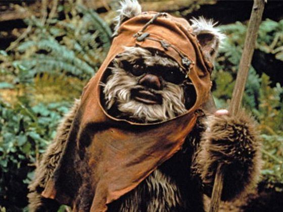 Ewok Ewok Quiz Which Ewok Are You Star Wars Online Games Zimbio