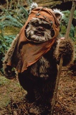 Ewok 1000 ideas about Ewok on Pinterest Star wars Chewbacca and