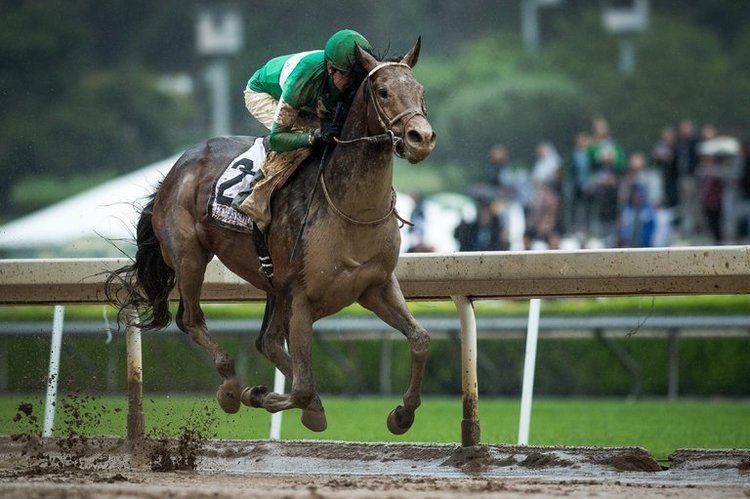 Exaggerator httpsstatic01nytcomimages20160410sports