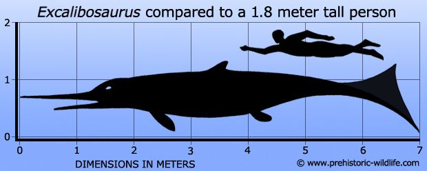 Excalibosaurus wwwprehistoricwildlifecomimagesspecieseexca