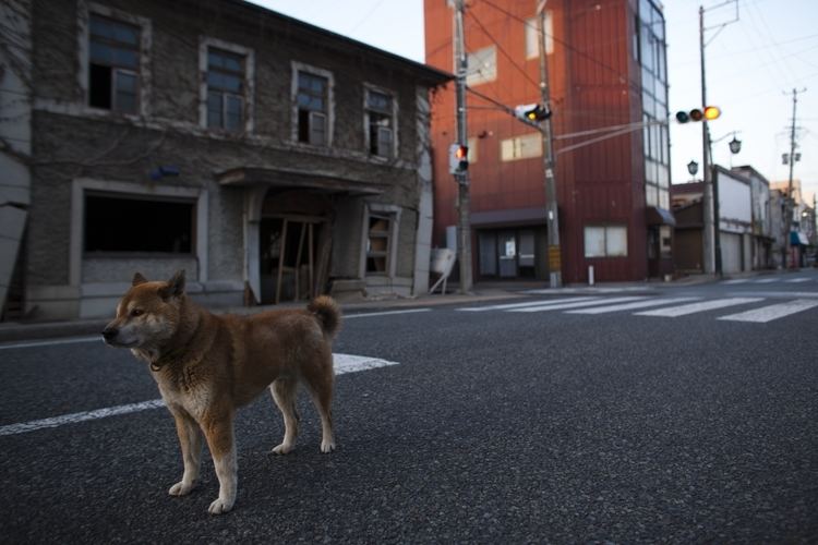 Exclusion zone Chernobyl and Fukushima exclusion zones Nuclear disaster sites are