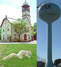 Exeter, Ontario httpsuploadwikimediaorgwikipediacommonsthu