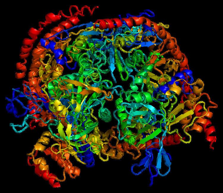 Exosome component 6