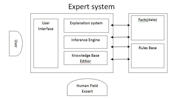 Expert system Expert Systems Alevel AICT Questions By Navid Saqib ProProfs Quiz