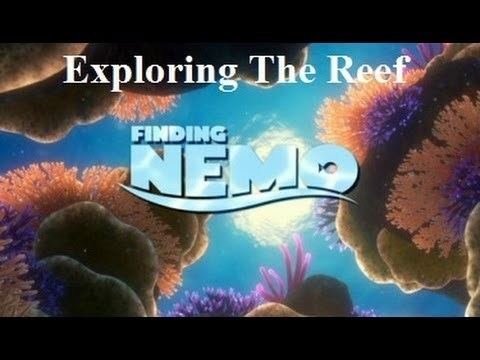 Exploring the Reef Finding Nemo Exploring The Reef YouTube