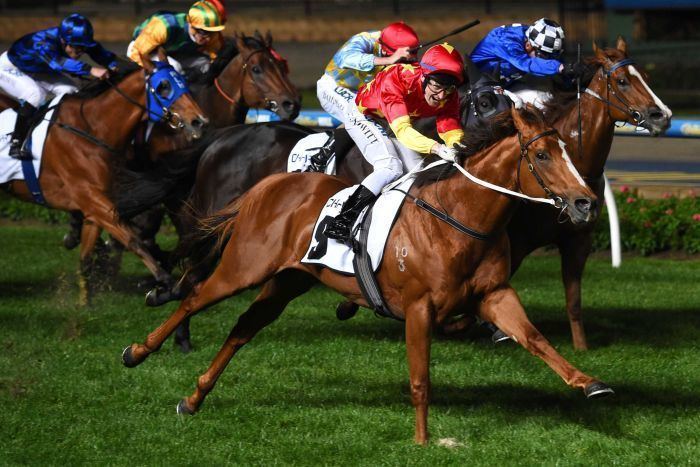 Extreme Choice Extreme Choice wins Moir Stakes at Moonee Valley for Mick Price and