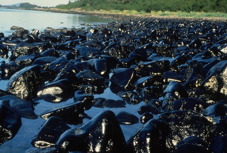 Exxon Valdez Remembering The Exxon Valdez Oil Spill 25 Years Later The