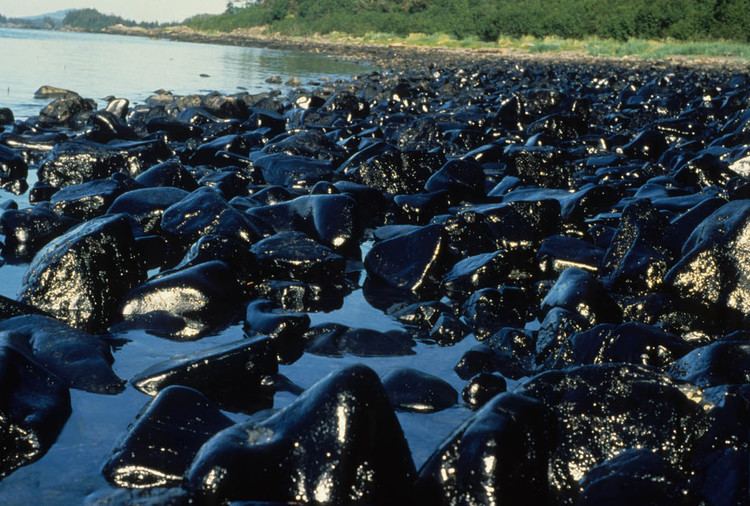 Exxon Valdez oil spill Remembering The Exxon Valdez Oil Spill 25 Years Later The