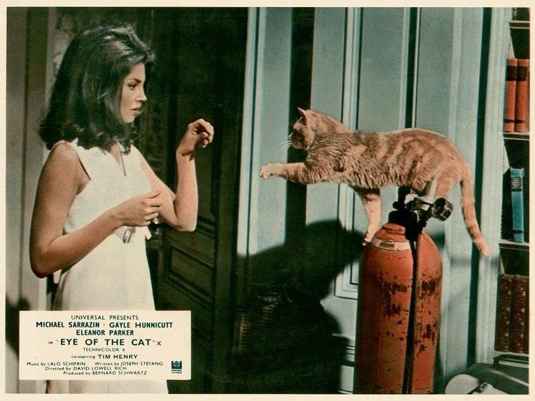 Eye of the Cat BLACK HOLE REVIEWS EYE OF THE CAT 1969 animal attack psycho