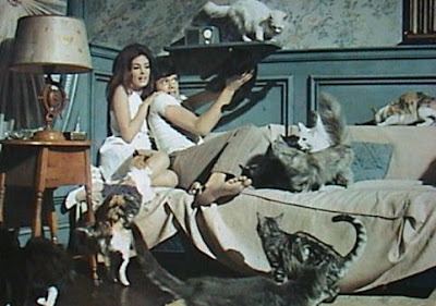 Eye of the Cat BLACK HOLE REVIEWS EYE OF THE CAT 1969 animal attack psycho