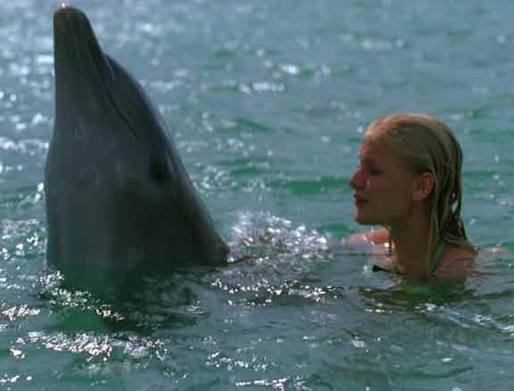 Eye of the Dolphin Eye of the Dolphin 2007 Movie Photos and Stills Fandango