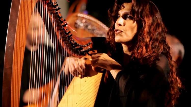Fabius Constable Fabius Constable amp the Celtic Harp Orchestra YouTube