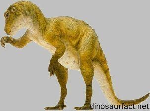 Fabrosaurus 1000 images about Dinosaurs on Pinterest Spinosaurus Search and