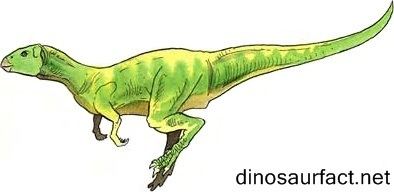 Fabrosaurus Fabrosaurus dinosaur