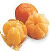 Fairchild tangerine wwwfruitsinfocomimageshybridfruitsfairchild