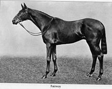 Fairway (horse) httpsuploadwikimediaorgwikipediacommonsthu