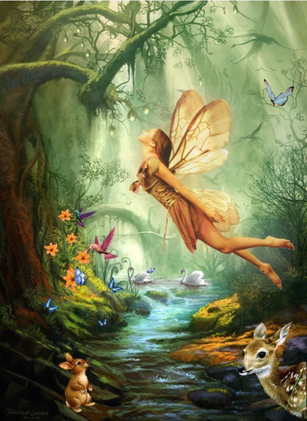 Fairy 1000 ideas about Fairies on Pinterest Fairy crafts Faeries and