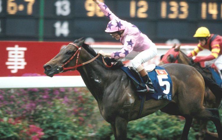 Fairy King Prawn History of a racing rivalry Japan and Hong Kong Topics Looking