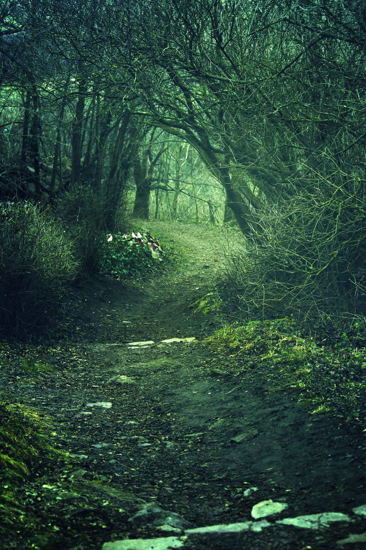 Fairy path Fairy Path by NeoQueenSerenety on DeviantArt