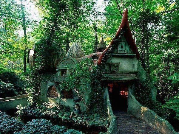 Fairy Tale Forest Cool Bookish Places Fairytale Forests