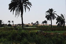 Faiyum Oasis httpsuploadwikimediaorgwikipediacommonsthu