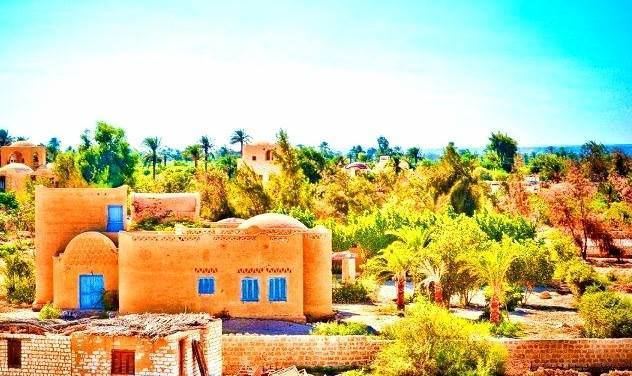 Faiyum Oasis What To See amp Do In Fayoum Oasis Travelstart Egypt39s Travel Blog