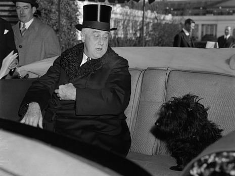 Fala (dog) The True Story of The Coolest Dog the White House Has Ever Seen