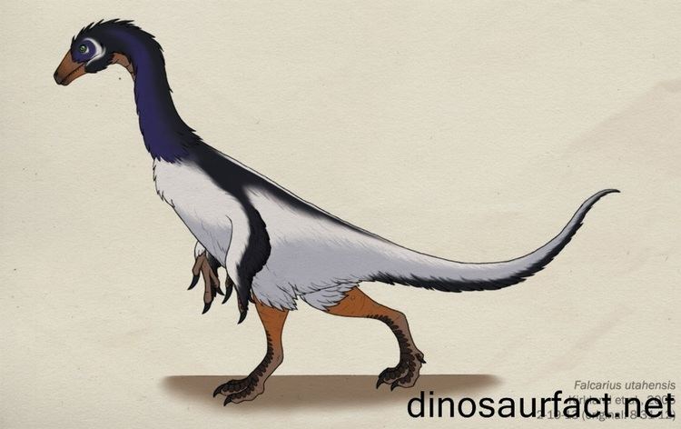 Falcarius Falcarius dinosaur