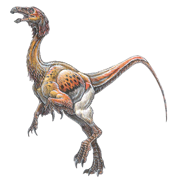 Falcarius Bambiraptor feinbergorum feathered dinosaur