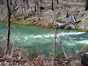Fall Creek (Middle Fork Willamette River) httpsuploadwikimediaorgwikipediacommonsthu