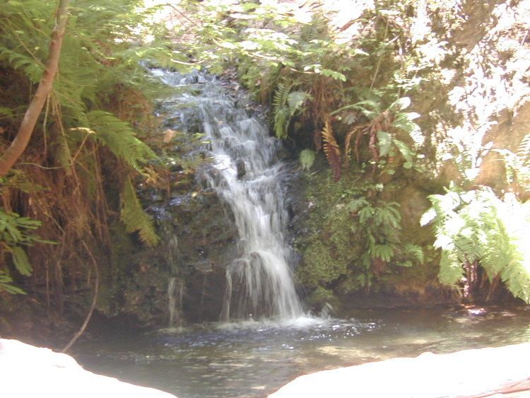 Fall Creek (San Mateo County, California)