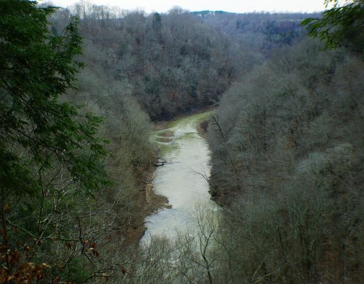Falling Water River httpsuploadwikimediaorgwikipediacommonsaa