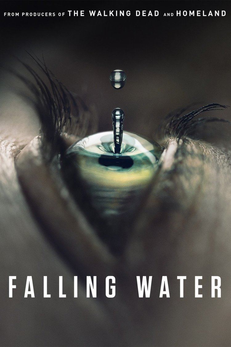 Falling Water (TV series) wwwgstaticcomtvthumbtvbanners13209967p13209