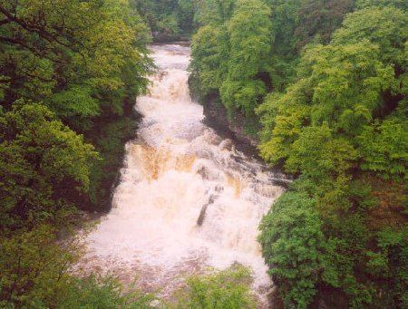 Falls of Clyde (waterfalls)