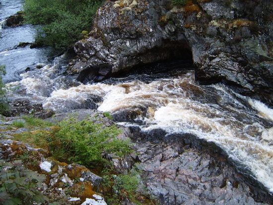 Falls of Shin Falls of Shin Lairg Scotland Top Tips Before You Go TripAdvisor