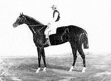 Falsetto (horse) httpsuploadwikimediaorgwikipediacommonsthu