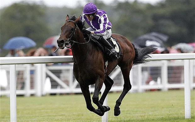 Fame and Glory Royal Ascot 2012 Fame and Glory poised to continue Irish monopoly