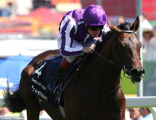 Fame and Glory Ascot Gold Cup favourite Fame And Glory grinds out Leopardstown