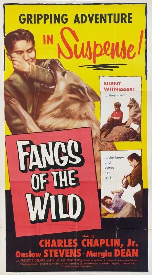 Fangs of the Wild (1939 film) Fangs of the Wild Movie Posters From Movie Poster Shop