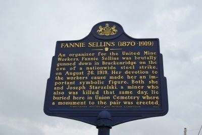 Fannie Sellins Get Familiar With Fannie Sellins The Woman Who Fought For Labor