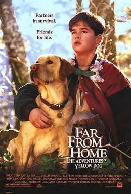 Far from Home: The Adventures of Yellow Dog Far from Home The Adventures of Yellow Dog Wikipedia