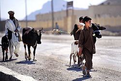 Farah, Afghanistan httpsuploadwikimediaorgwikipediacommonsthu